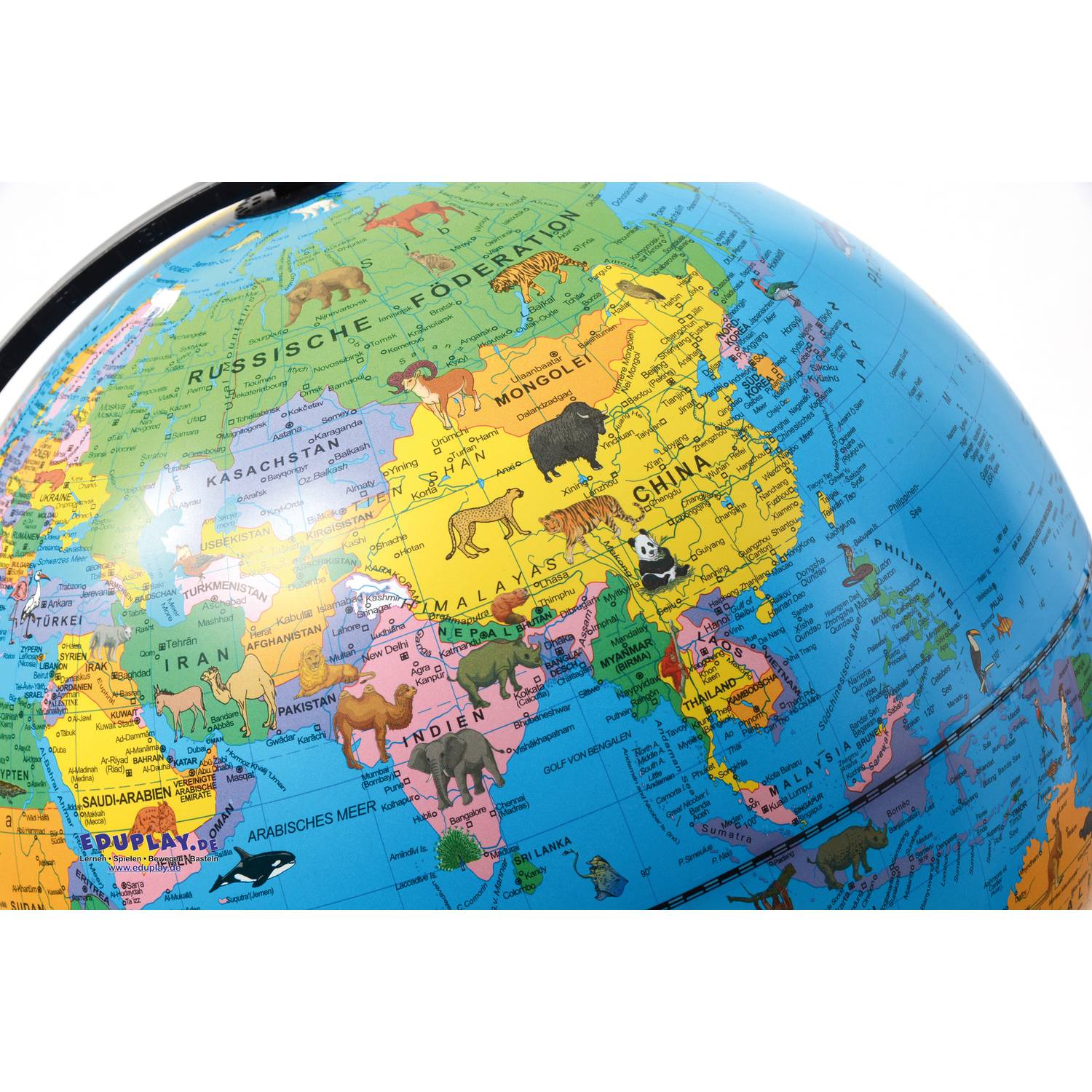 EDUPLAY 150135 Tierglobus 30 cm, bunt