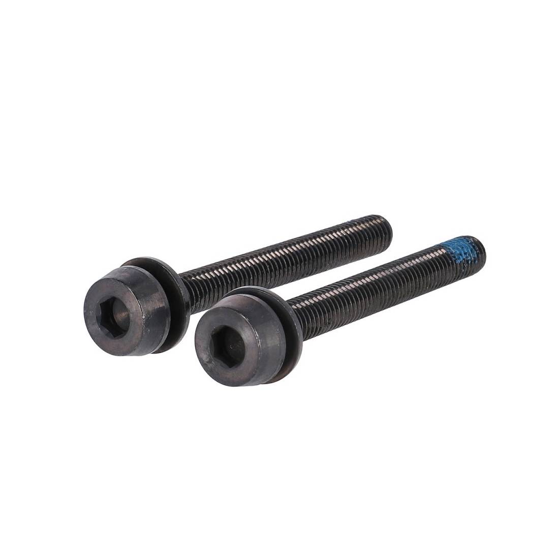 Campagnolo AC18-DBSC29 Schrauben H11 (Scheibenbr.) ,2x29mm für 20-24mm hinten, schwarz