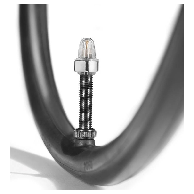 Schwalbe 6674.01 Staubkappe für SV transparent Kappe+ Magnet, schwarz, 2-teilig (1 Set)