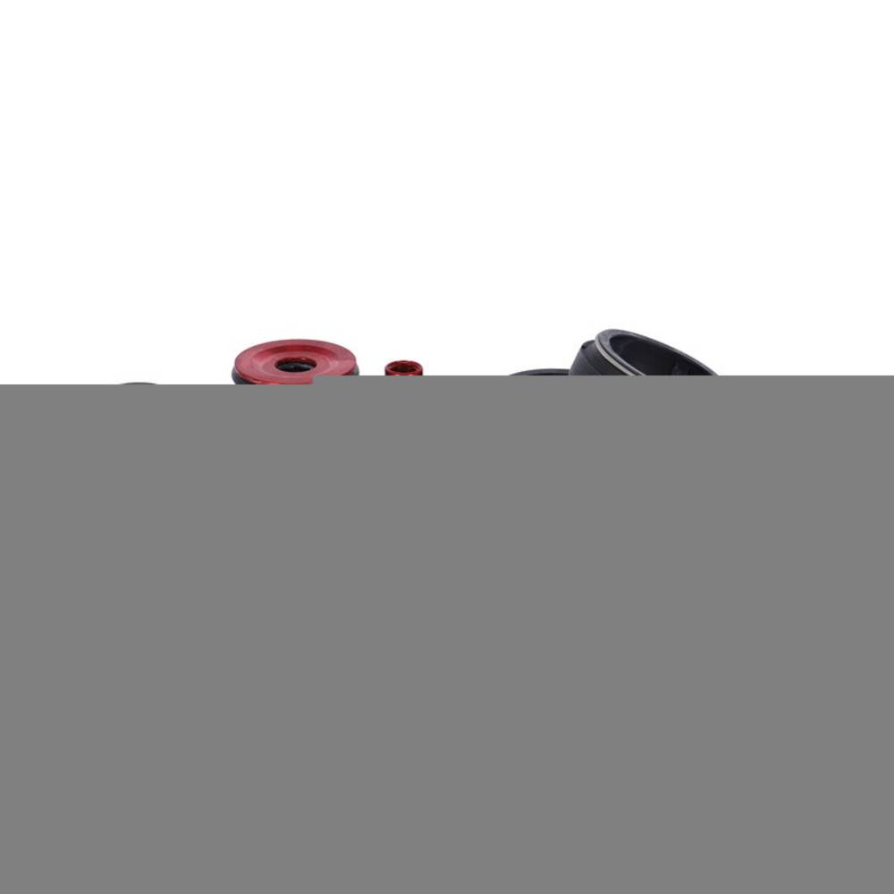 RockShox Federg.Service Kit Rocksh.Lyric RC2 C1 (2019+) 200Std/1J.00.4318.025.020 (1 Set)