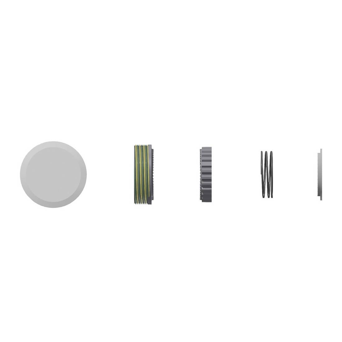 DT Swiss HWYXXX00N9376S Service Kit "Star Ratchet EXP54T", 54 Zähne, Superlight, silber (1 Set)
