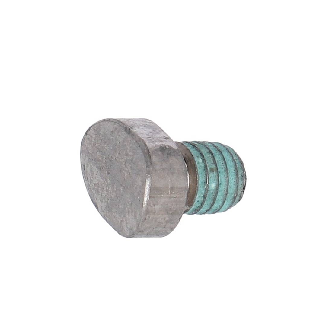 HAIBIKE FLYON Battery Fixation Screw (BFS) zur Batteriebefestigung Teil 4, silber
