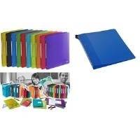 ELBA Ringbuch ''ELBA School Life'', DIN A4, 2-Ring, PP Rückenbreite: 30 mm, aus starkem Kunststoff