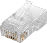 Transparenter Kunststoff-Ethernet-Kabelstecker mit vergoldeten Kontaktstiften, dargestellt auf weißem Hintergrund.