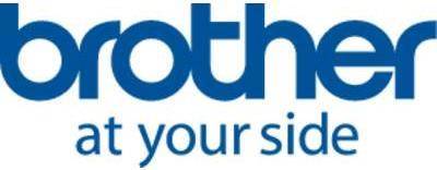 Brother Schriftband 10er Set TZe-231 Bandfarbe: Weiß Schriftfarbe:Schwarz 12 mm 8 m (TZE231 x 10)