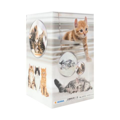 Stifteköcher Karton Katzen