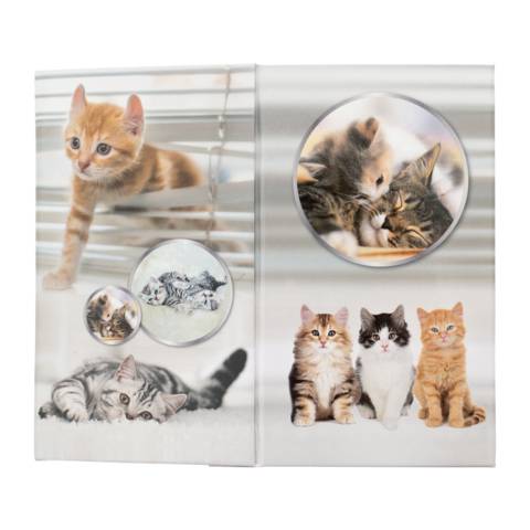 Stifteköcher Karton Katzen