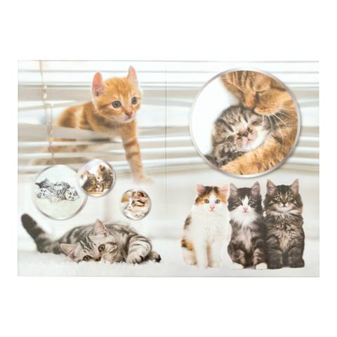 Papierkorb Karton Katzen