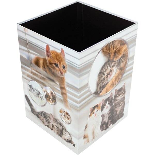 Quadratischer Lagerbehälter mit Katzenmotiv, offener Oberseite und gedruckten Fotos von Kätzchen auf den Seiten.