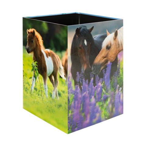 Papierkorb Karton Pferdewiese