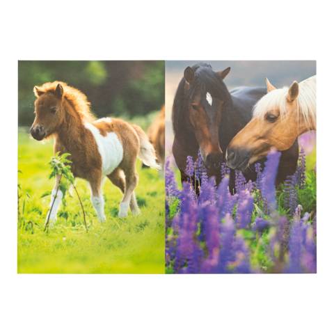 Papierkorb Karton Pferdewiese