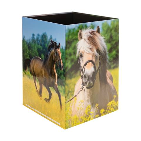 Papierkorb Karton Pferdewiese