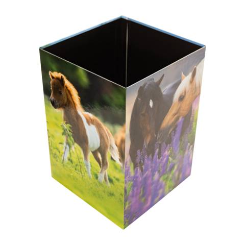 Papierkorb Karton Pferdewiese