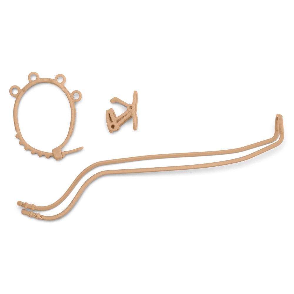 Kutsche für Pferdeshow