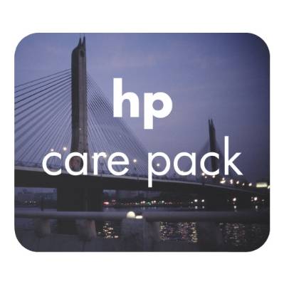 HP Care Pack U4513A