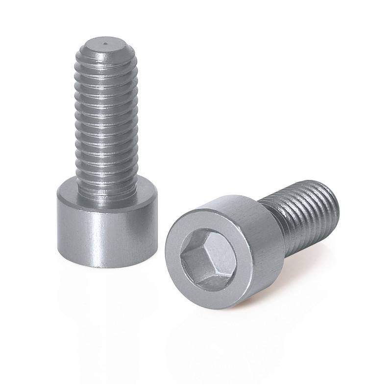 XLC Schrauben für Trinkflaschenhalter 2er Set, titan-farbig, 2-teilig (1 Set)