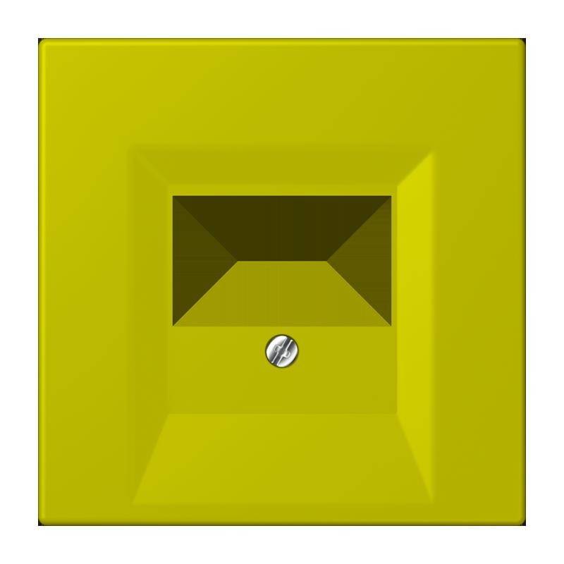 Jung Abdeckung für TAE LC 969 T 249