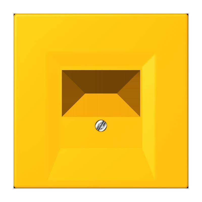 Jung Abdeckung für TAE LC 969 T 263