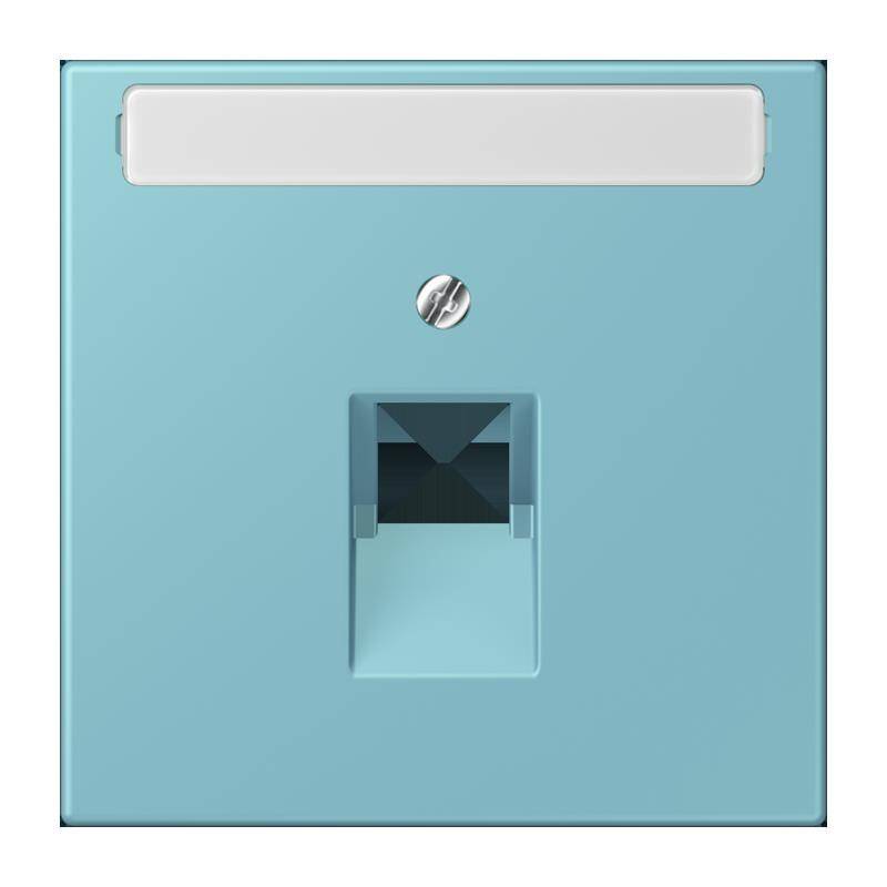 Jung Abdeckung für IAE/UAE LC 969-1 NAUA 213