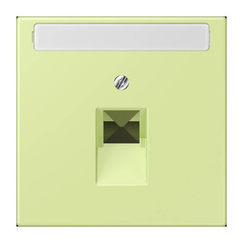 Jung Abdeckung für IAE/UAE LC 969-1 NAUA 222