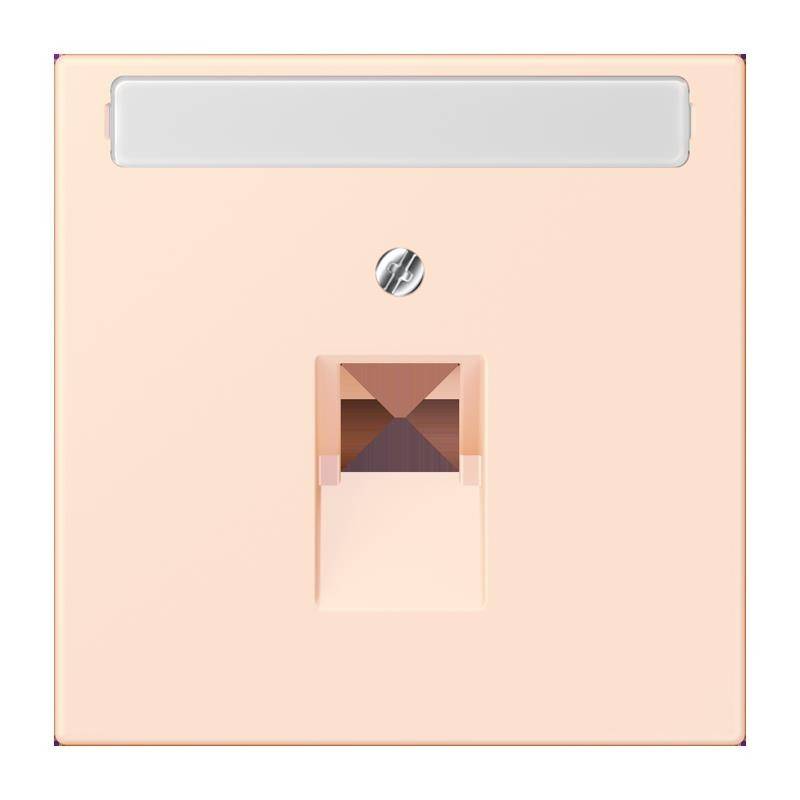 Jung Abdeckung für IAE/UAE LC 969-1 NAUA 226