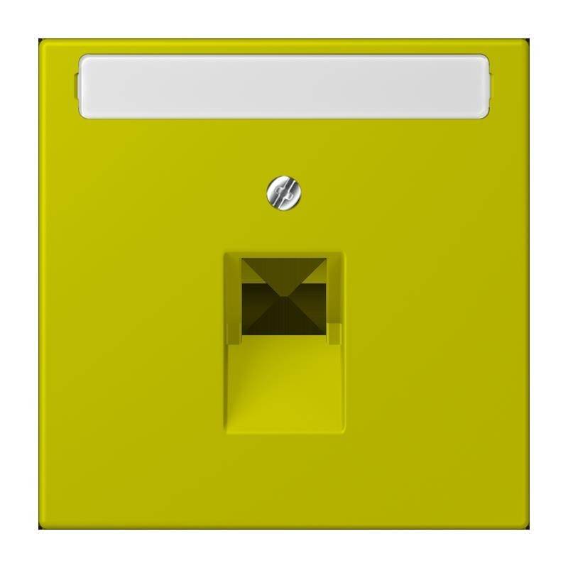 Jung Abdeckung für IAE/UAE LC 969-1 NAUA 249