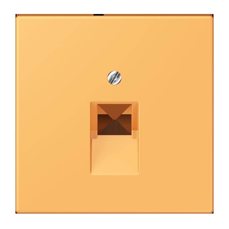 Jung Abdeckung für IAE/UAE LC 969-1 UA 254