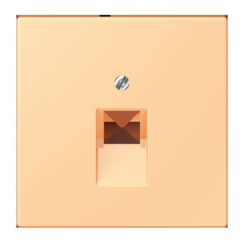 Jung Abdeckung für IAE/UAE LC 969-1 UA 258