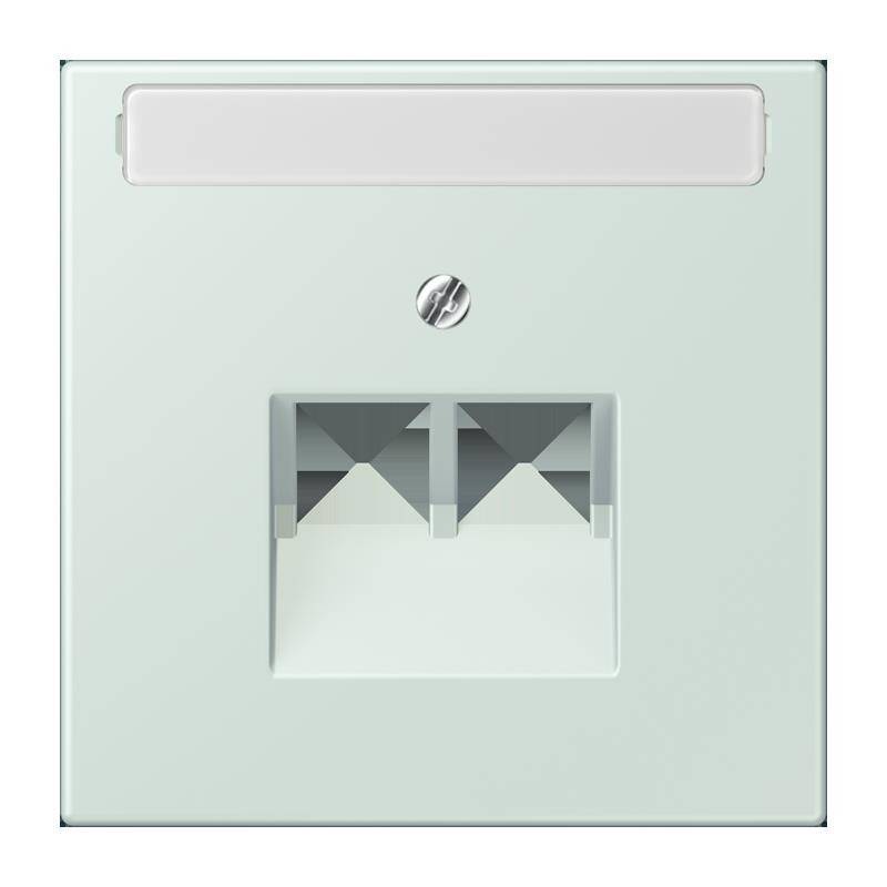 Jung Abdeckung für IAE/UAE LC 969-2 NAUA 215