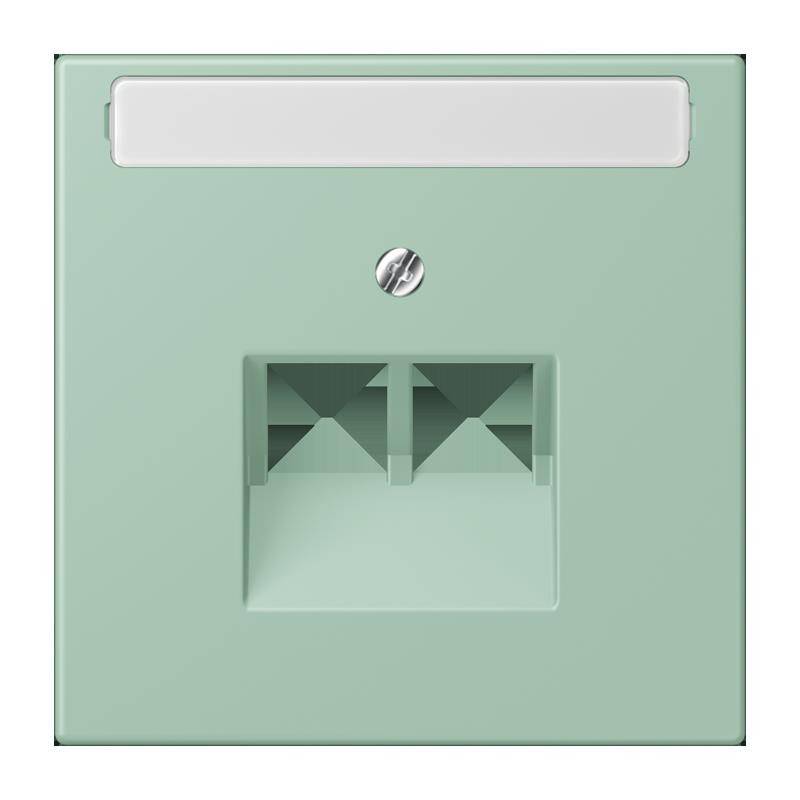 Jung Abdeckung für IAE/UAE LC 969-2 NAUA 217