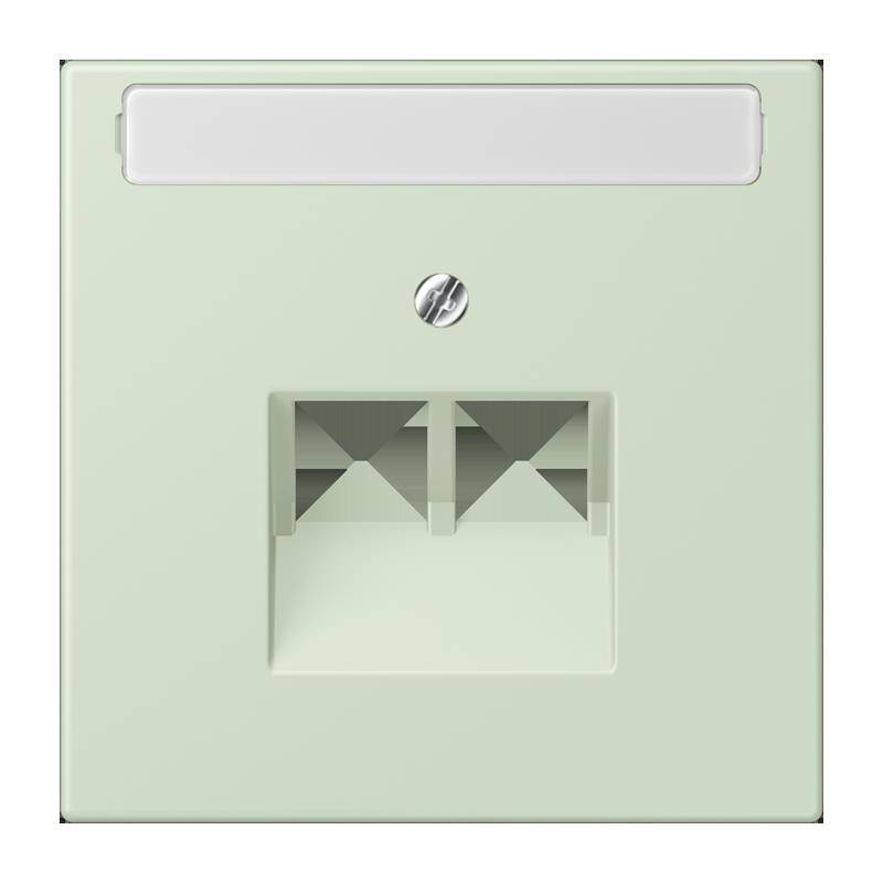 Jung Abdeckung für IAE/UAE LC 969-2 NAUA 218