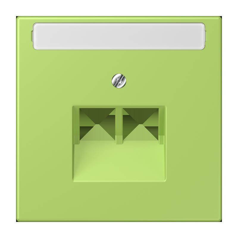 Jung Abdeckung für IAE/UAE LC 969-2 NAUA 221