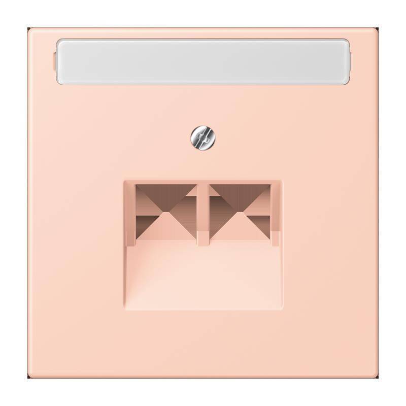 Jung Abdeckung für IAE/UAE LC 969-2 NAUA 234