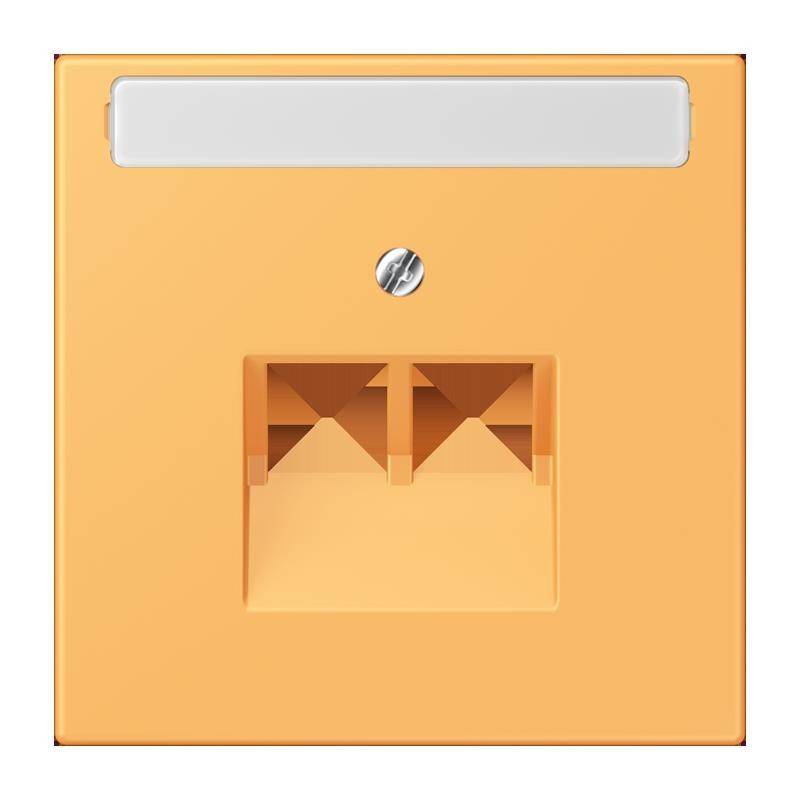 Jung Abdeckung für IAE/UAE LC 969-2 NAUA 254