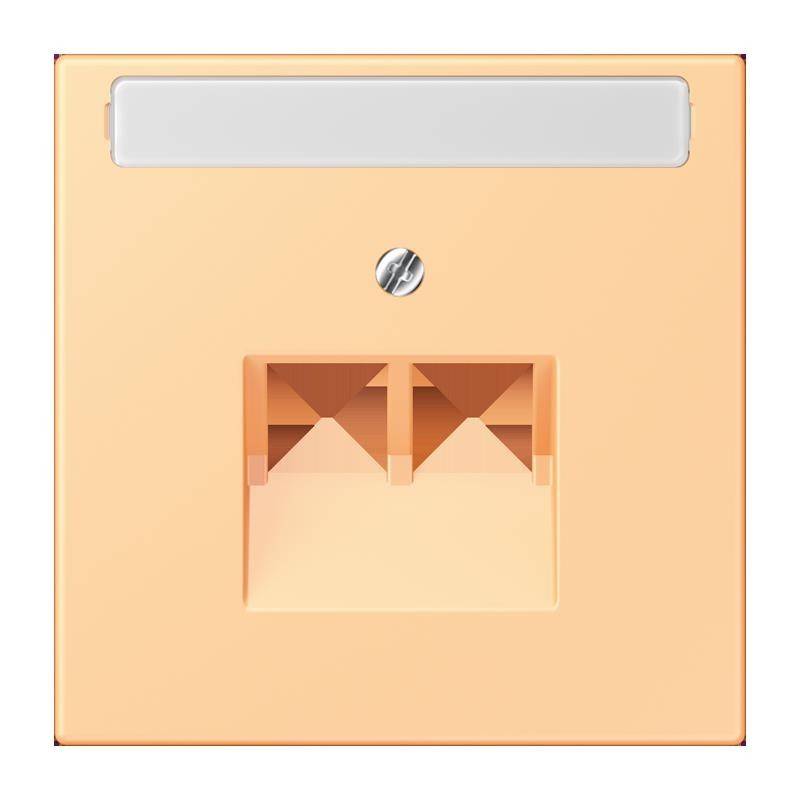 Jung Abdeckung für IAE/UAE LC 969-2 NAUA 258
