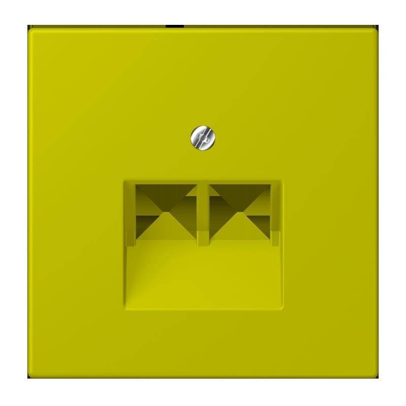 Jung Abdeckung für IAE/UAE LC 969-2 UA 249