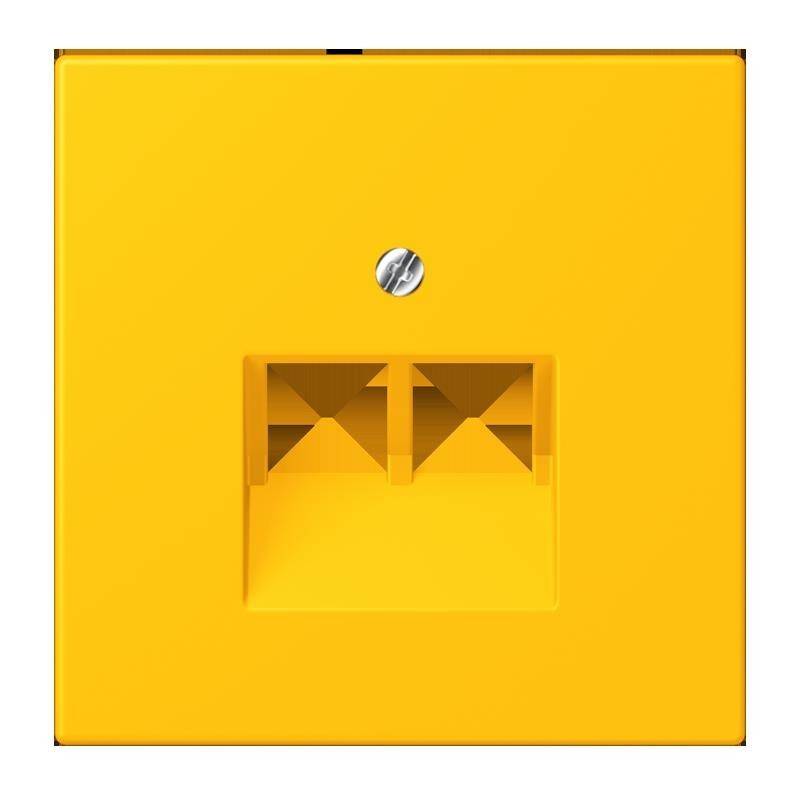 Jung Abdeckung für IAE/UAE LC 969-2 UA 263