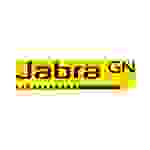 Jabra Evolve2 40 SE USB-A MS Mono