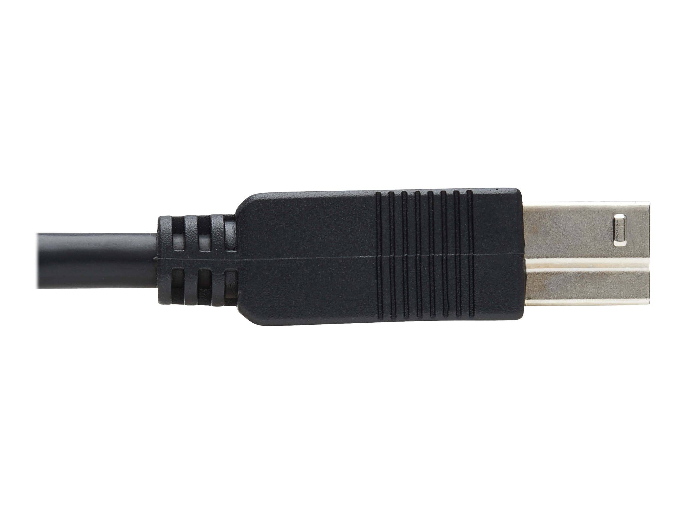Tripp USB 3.2 Gen 1 Plenum-Rated Fiber Active Optical Cable (AOC) - A/B M/M - Bl