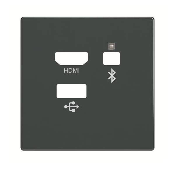 10 Stk. Busch-Jaeger Zentralscheibe 8256-81