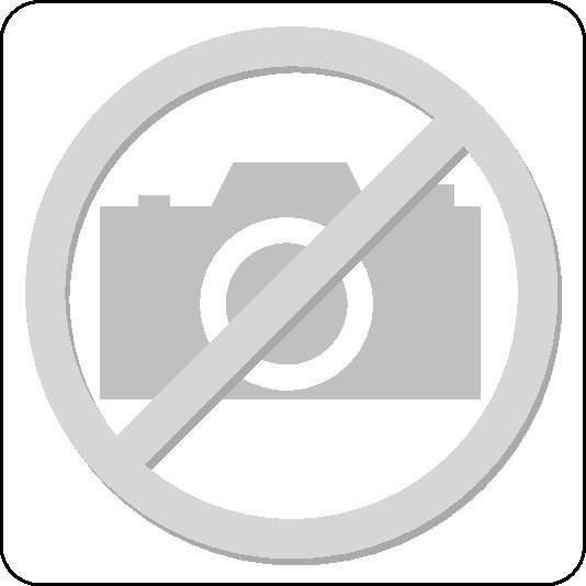 Rillenkugellager 16024 C3 ID 120mm AD 180mm Breite19mm NTN