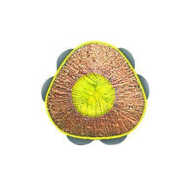 Faber Castell Trockentextmarker TEXTLINER DRY 114851 5,4mm blau