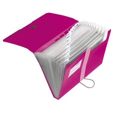 Herlitz Fächermappe easy orga to go 11217114 DIN A4 12Fächer PP beere
