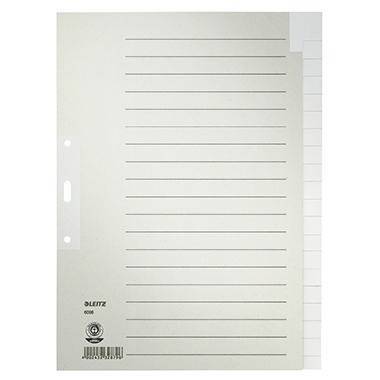 Leitz Register 60960085 blanko DIN A4 Tauenpapier grau
