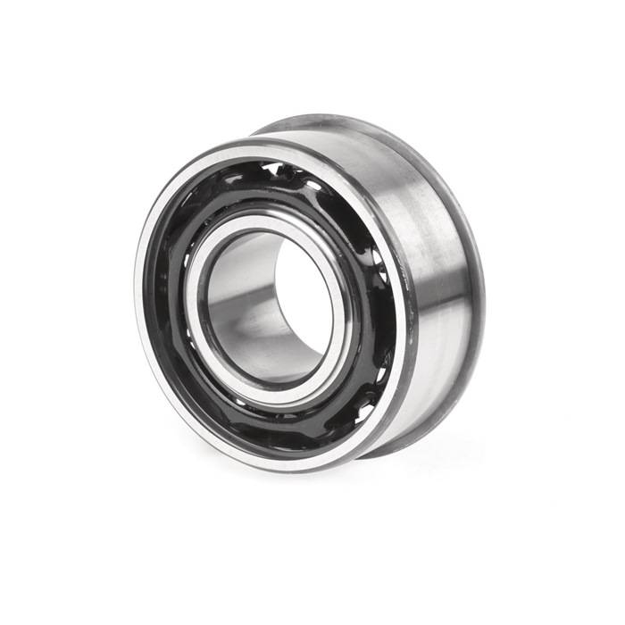 SCHKG 3310 ANRC3 ID 50mm AD 110mm Breite39,7mm SKF