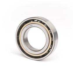 SCHKG 7309 BEGAPH ID 45mm AD 100mm Breite25mm SKF