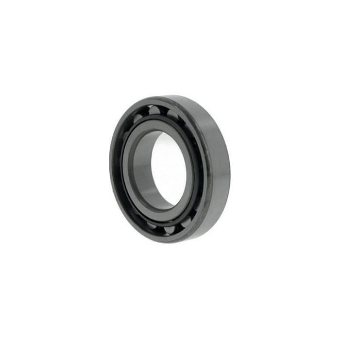 Zylinderrollenlager N209 ID 45mm AD 85mm Breite19mm NACHI