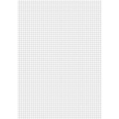 BRUNNEN Briefblock 1052688 DIN A4 100Blatt kariert