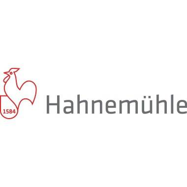 Hahnemühle Skizzenpapier 10620002 40/45g 20mx33cm