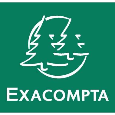 Exacompta Ordnungsmappe 541204E DIN A4 12Fächer Karton orange